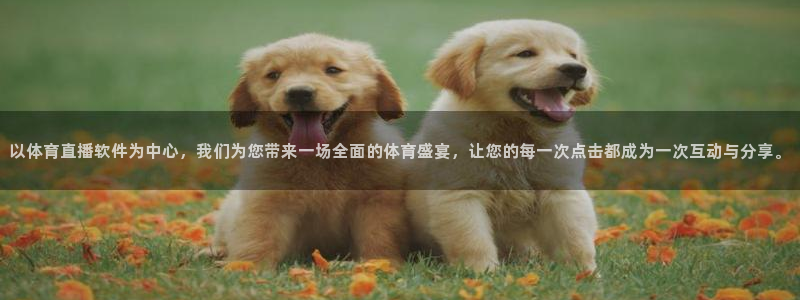 以体育直播软件为中心，我们为您带来一场全面的体育盛宴，让您的每一次点击都成为一次互动与分享。