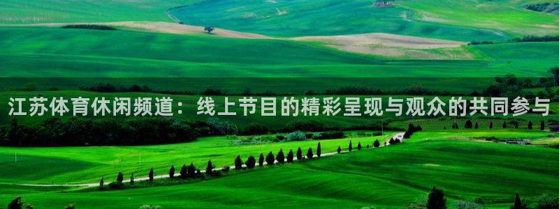 江苏体育休闲频道：线上节目的精彩呈现与观众的共同参与