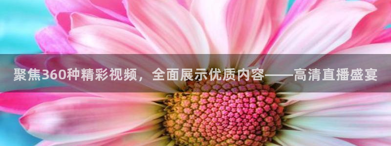 聚焦360种精彩视频，全面展示优质内容——高清直播盛宴