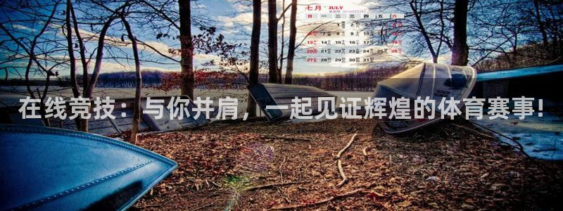 在线竞技：与你并肩，一起见证辉煌的体育赛事!